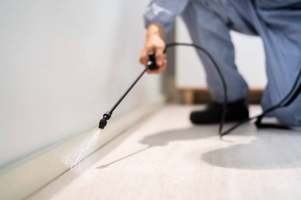 Licensed Pest Control service in Guntown, MS - Show Me Pest Control